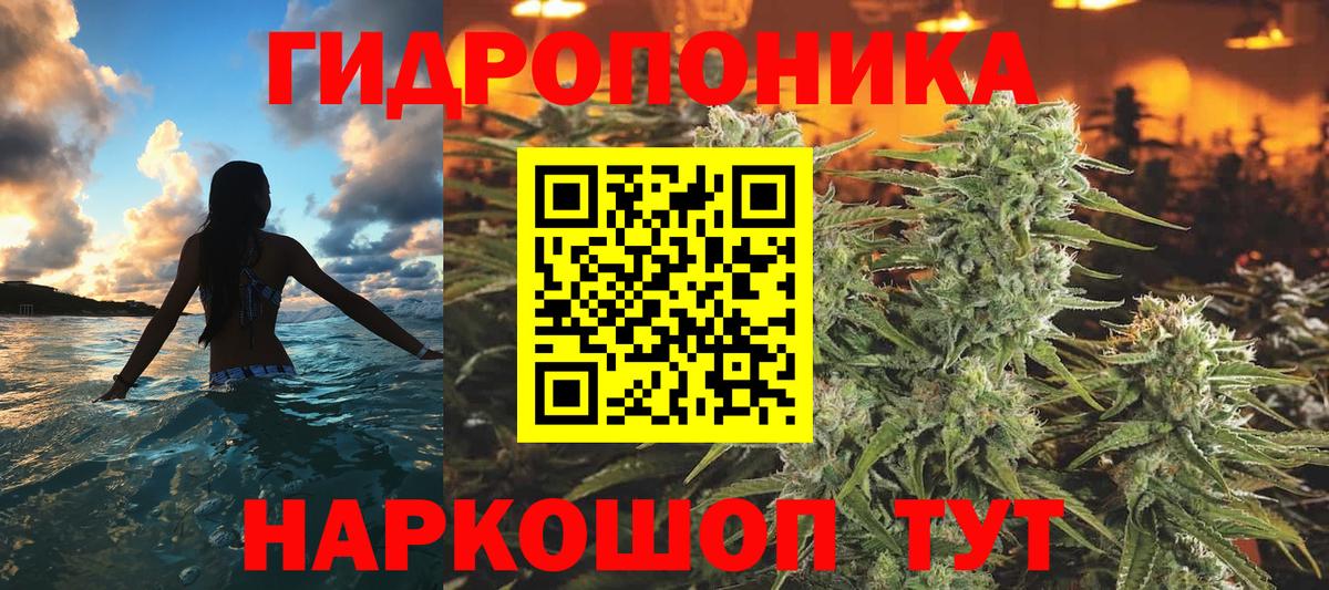 Бошки Шишки сатива  Бошки Шишки гибрид  Вход с VPN  Кемерово 